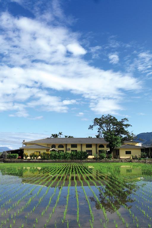 Frog And Pheasant Guesthouse Taitung Bagian luar foto
